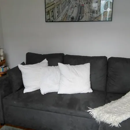 Apartamento En La Mejor Zona Del Oviedo Antiguo.